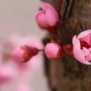 為明壁紙，上新啦！